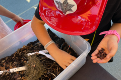 Student looking at worms