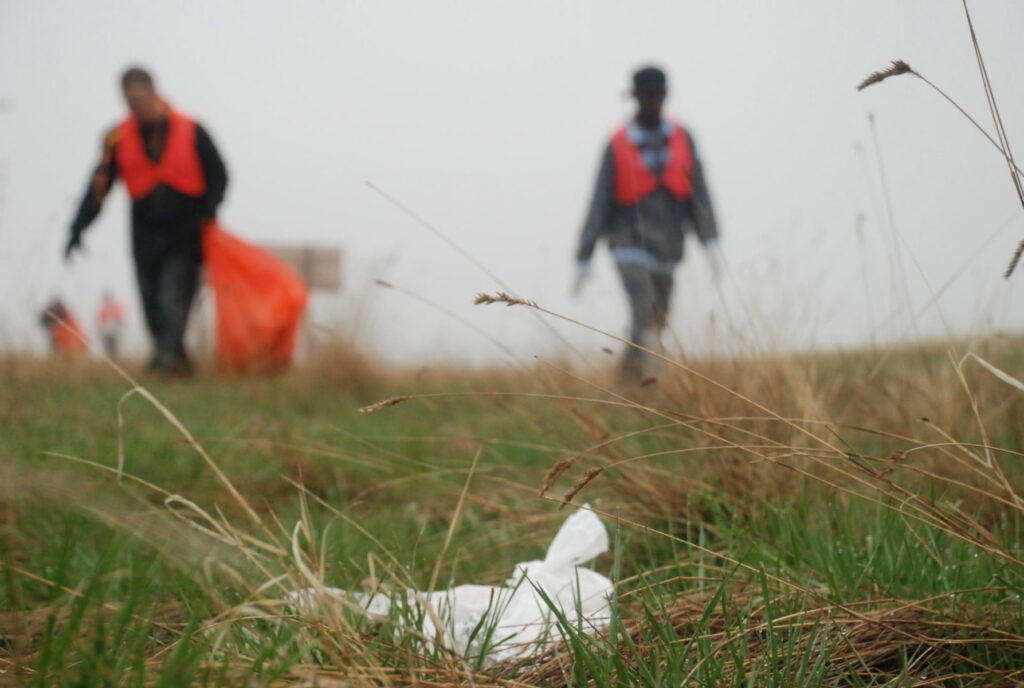 Highway litter
