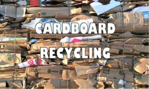 Cardboard