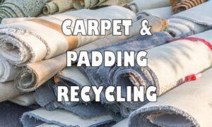 Carpet And Padding