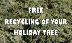 Holiday Tree Recycling
