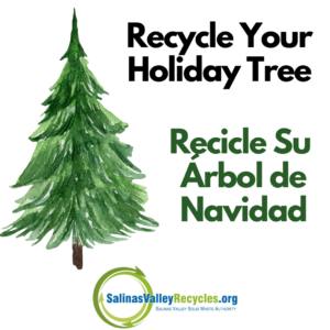 Recycle Your ChristmasTree (2)