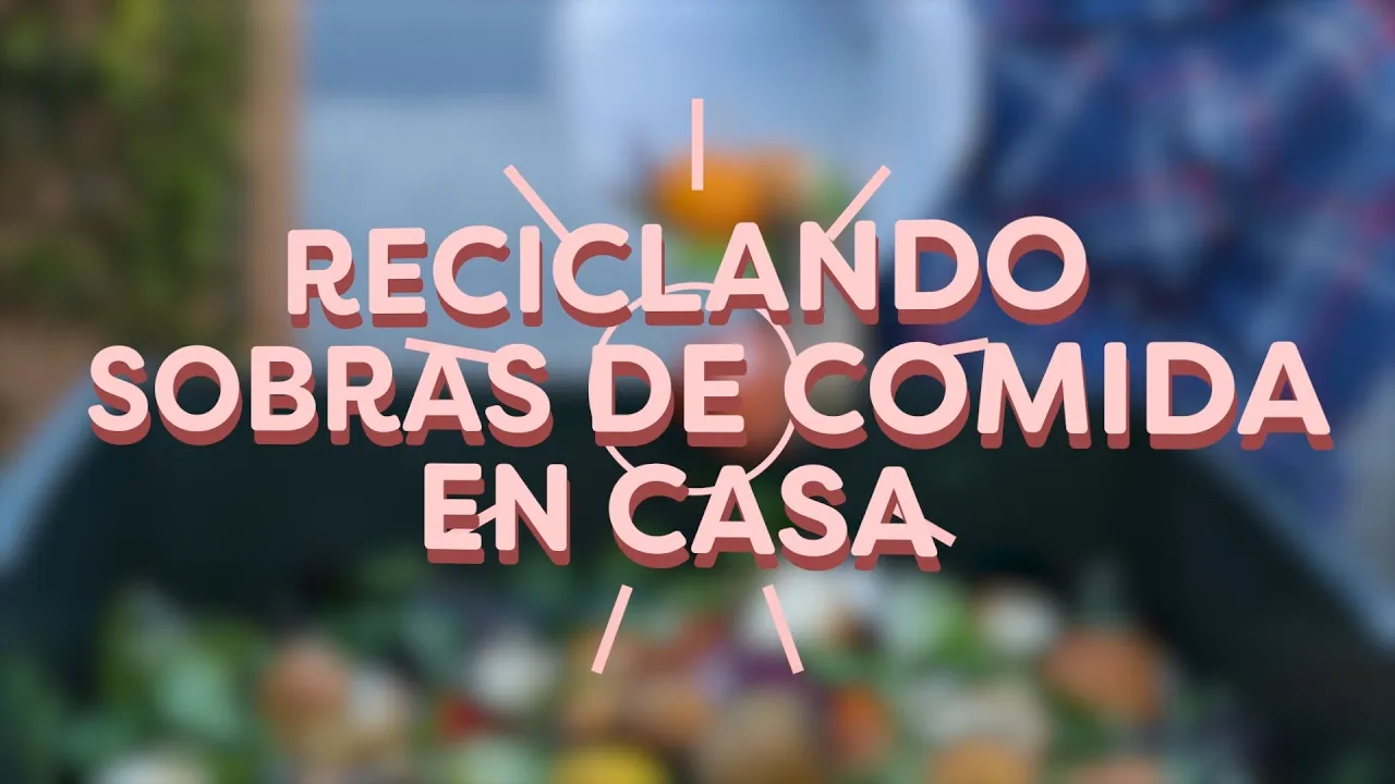 Reciclando Sobras De Comida En Casa: Para Niños