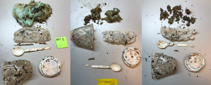 Image of bioplastics