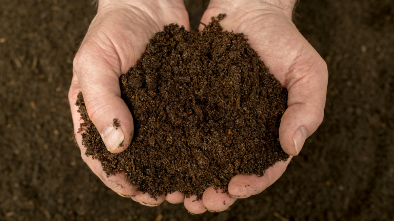 Hands holding compost