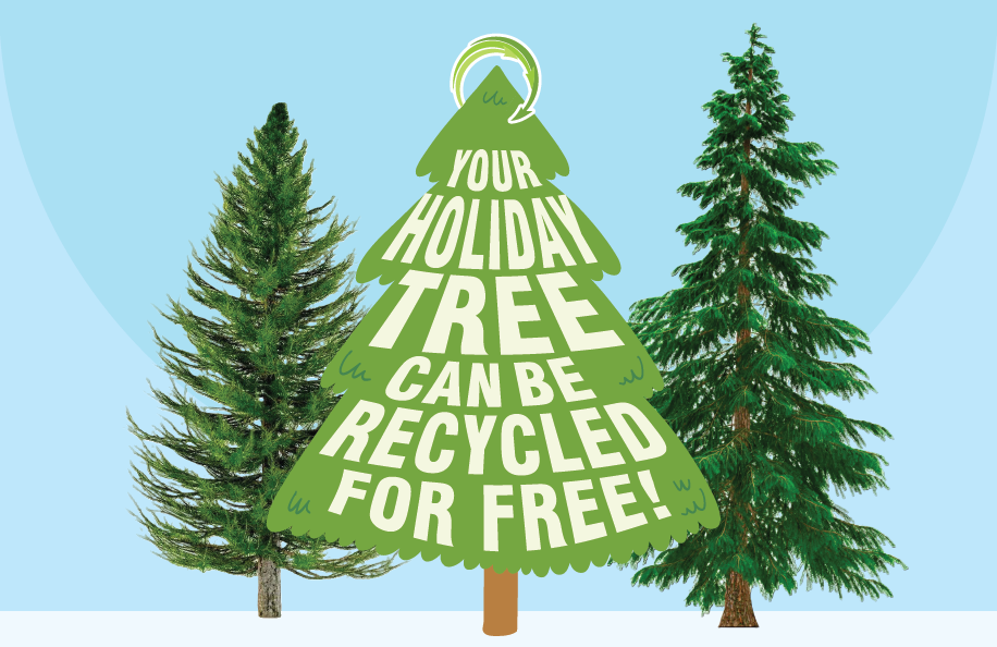 Your Holiday Tree can be recycled for free!