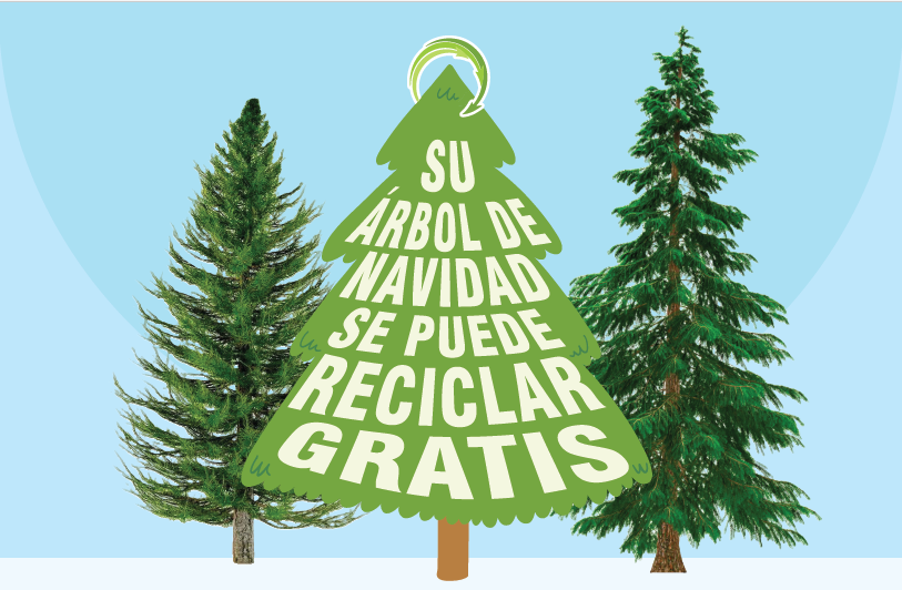 Su arbol de navidad se puede reciclar gratis