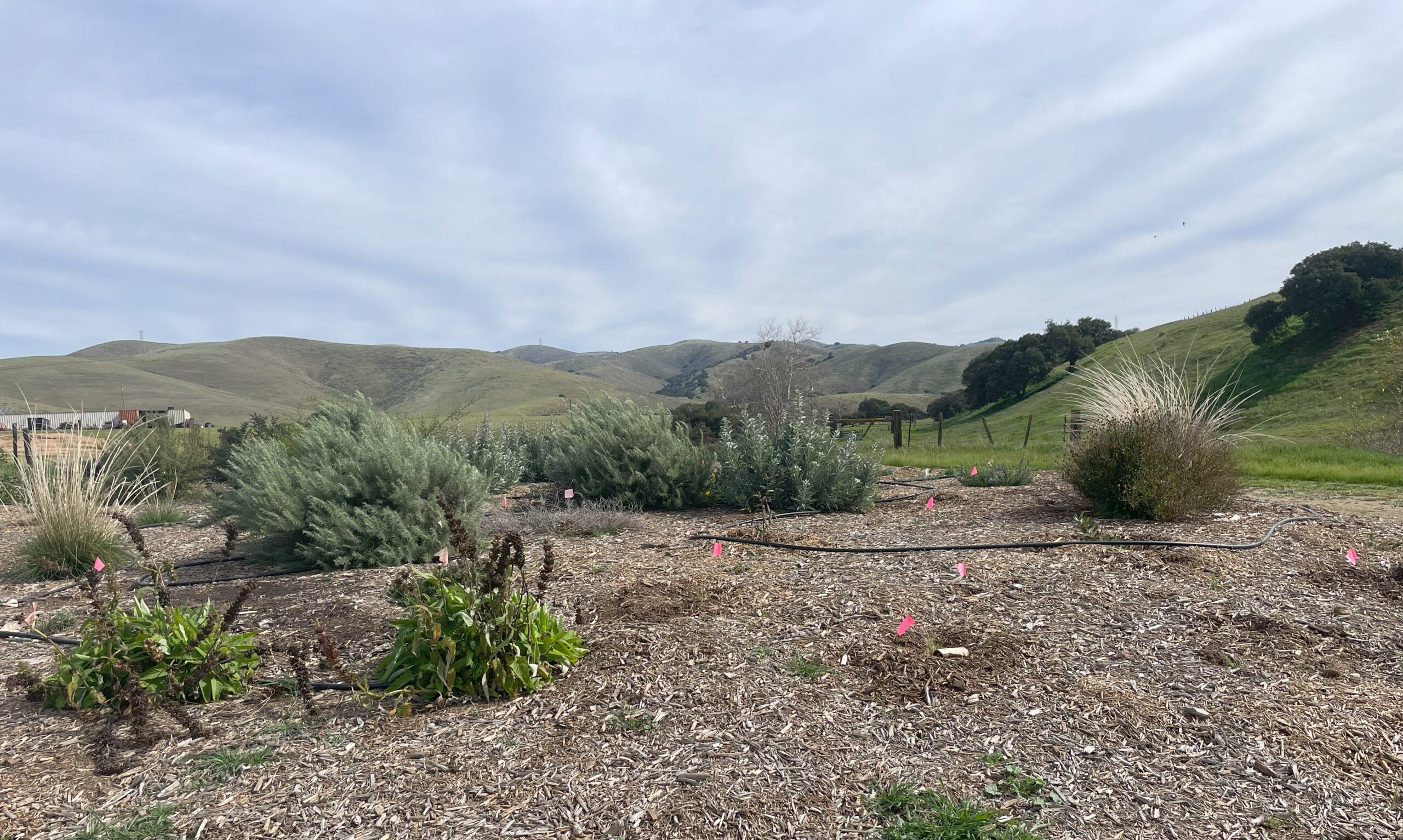 Garden – Salinas Valley Solid Waste Authority