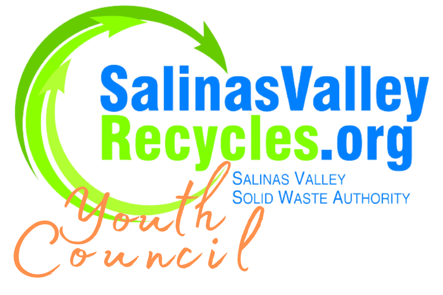 Youth Council Logo Transparent (1)