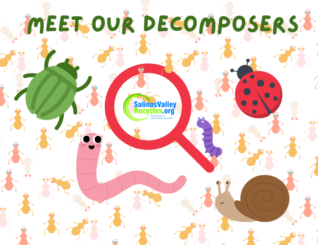 Meet Our Decomposers