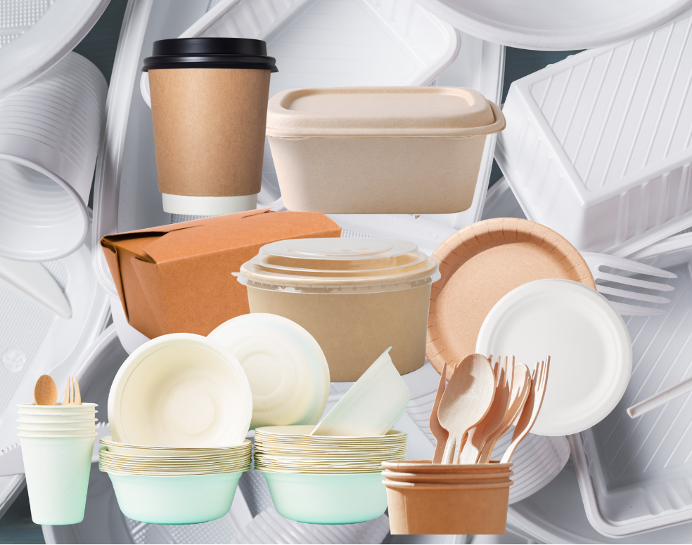 Disposable Foodware