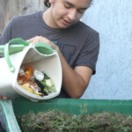 Person pouring food scraps into curbside green cart.